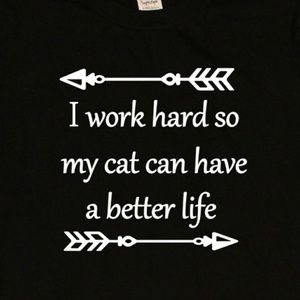 I Work Hard For My Cat Unisex t-shirt / cat lover